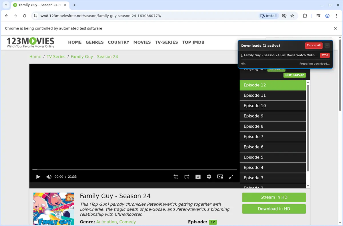123movies Video Downloader screenshot 3